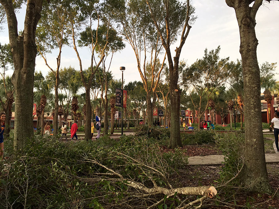In preparation for hurricane season, the trees in the courtyard were trimmed and debris was scattered along the path to the theme day judging during homecoming week. The homecoming dance and Powder Puff game were rescheduled as a result of Hurricane Irma.