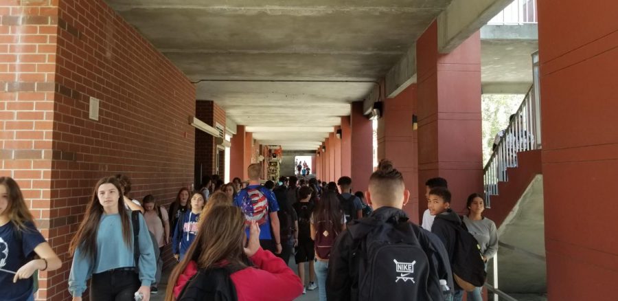 Students travel in between classes through the corridor that accesses the various buildings. Lake Brantley High School has undergone numerous safety procedures to ensure the school is prepared in case of emergency.
