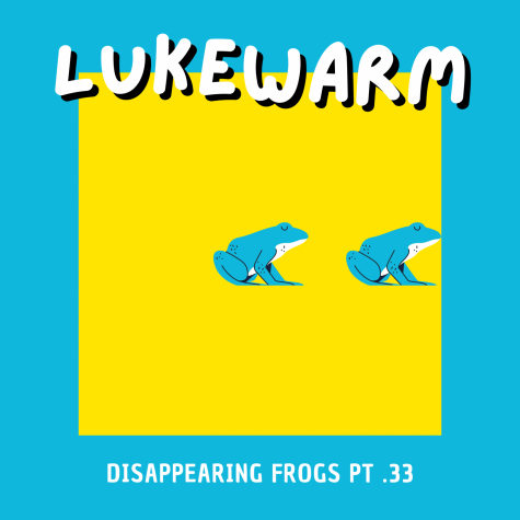 Disappearing Frogs pt .33