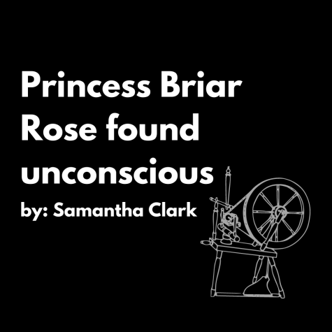 Princess Briar Rose found unconscious