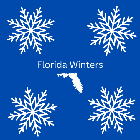 The sunshine state lives up to its name year round even during the winter season.