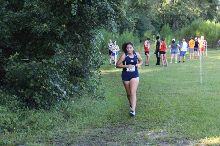 Junior Rachel Narvaez is a member of the state-ranked Lake Brantley Girls Cross Country team and runs during the junior varsity portion of the Deland Invitational on Sept. 1. The girls junior varsity portion began at roughly 8:45 a.m. and the junior varsity team placed seventh. 
