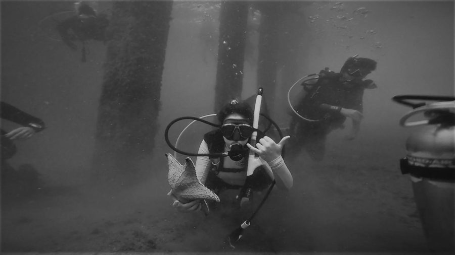 Eli Leblanc encounters a starfish during her trip to the Exumas during spring break 2019. Starfish have become so rare that scientists consider them endangered in southern regions. 