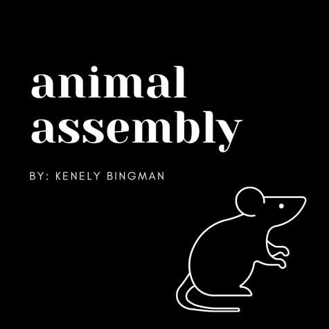 Animal assembly
