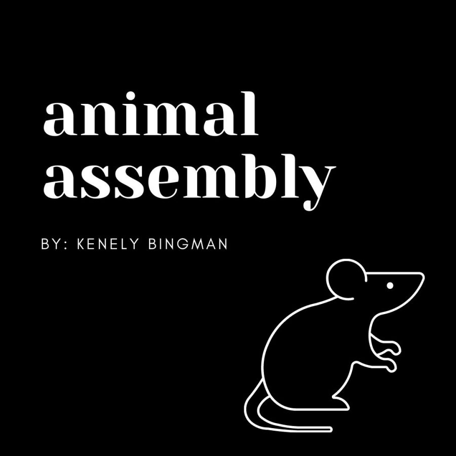 Animal+assembly