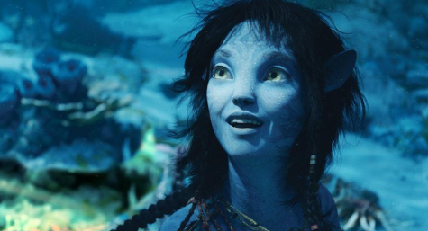 Released on Dec. 16, Avatar: The Way of Water was a complete and utter disappointment. From the revolving plot to the unnecessary characters, this film left much to be desired.