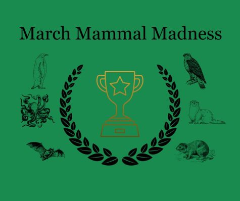 March Mammal Madness is directed and created by Professor Katie Hinde of Arizona State University and started on March 13.