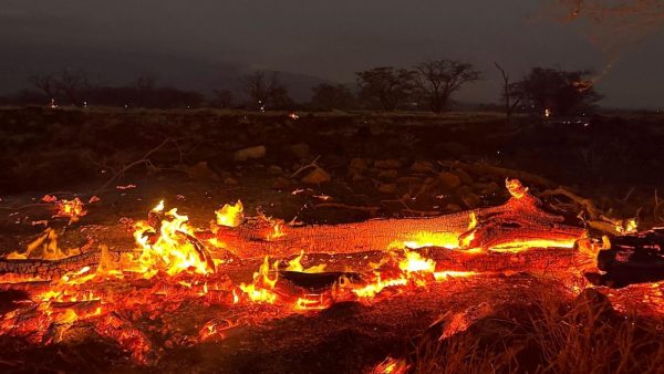 While the fires have been contained, brush fires have continued to burn in Lahaina for weeks after their original ignition.