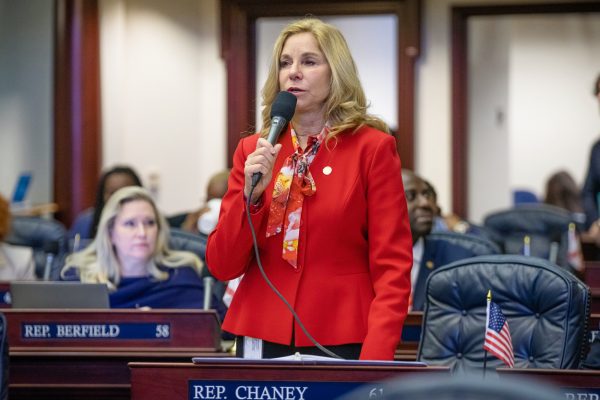 Rep. Linda Chaney, representative to Florida House District 61, speaks during the 2023 legislative session. Shortly before the 2024 session she filed Senate Bill 49. 