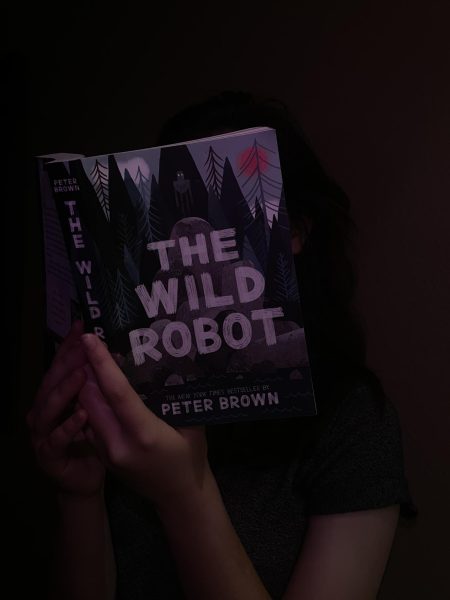 “The Wild Robot” a Visual Masterpiece